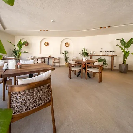 Prive & - Adults Only 16